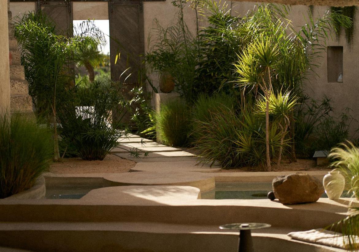 Arico el Nuevo Ecohotel El Agua מראה חיצוני תמונה