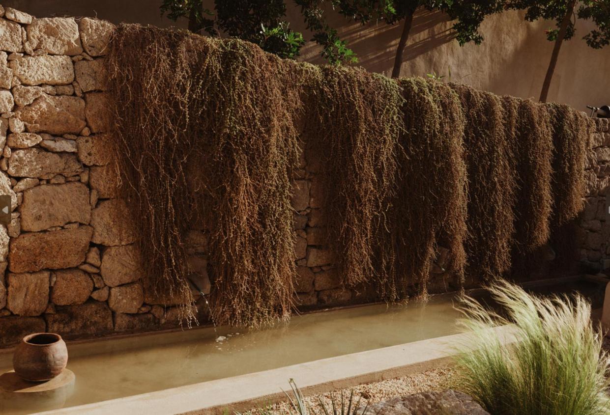 Arico el Nuevo Ecohotel El Agua מראה חיצוני תמונה