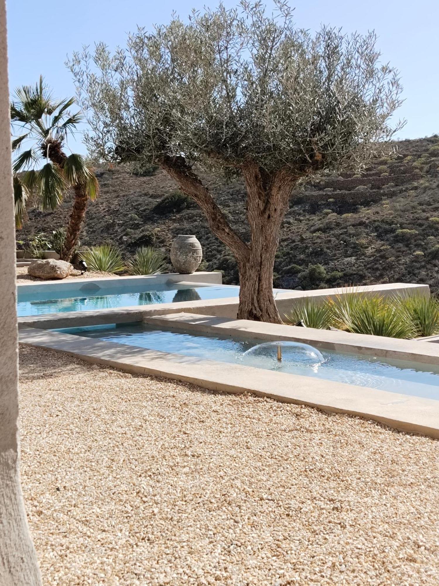Arico el Nuevo Ecohotel El Agua מראה חיצוני תמונה